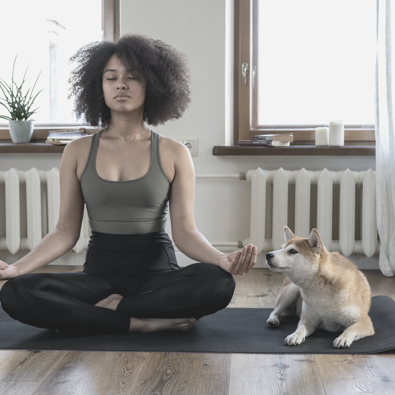 Young woman in athletic wear  sits cross-legged on a black mat while meditating. A white and brown dog observes her with curiosity. 